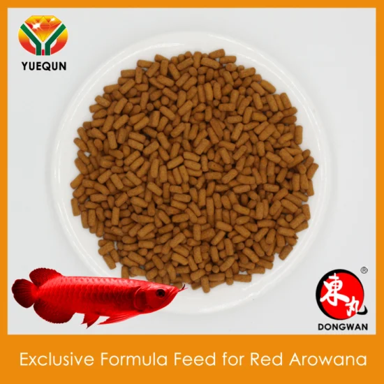 Gold Arowana Feed Aliment composé pour Gold Arowana Fish Feed Pond Fish Food